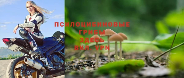 Альфа ПВП Дмитриев