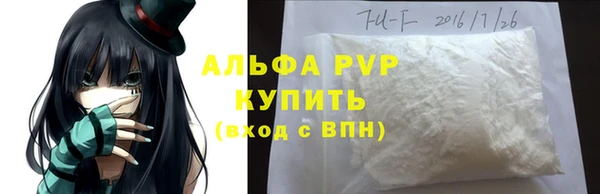 ешки Гусев