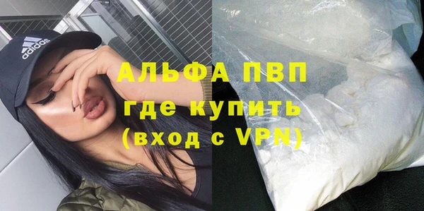 стафф Дмитровск