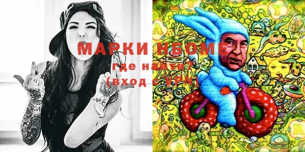 стафф Дмитровск