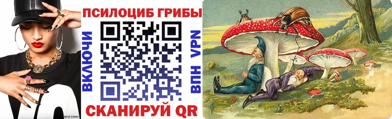OMG как войти  купить наркотик  Дмитров  Галлюциногенные грибы мицелий 